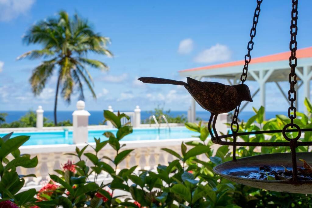 Domaine Des Tourterelles Villa Capesterre Екстериор снимка