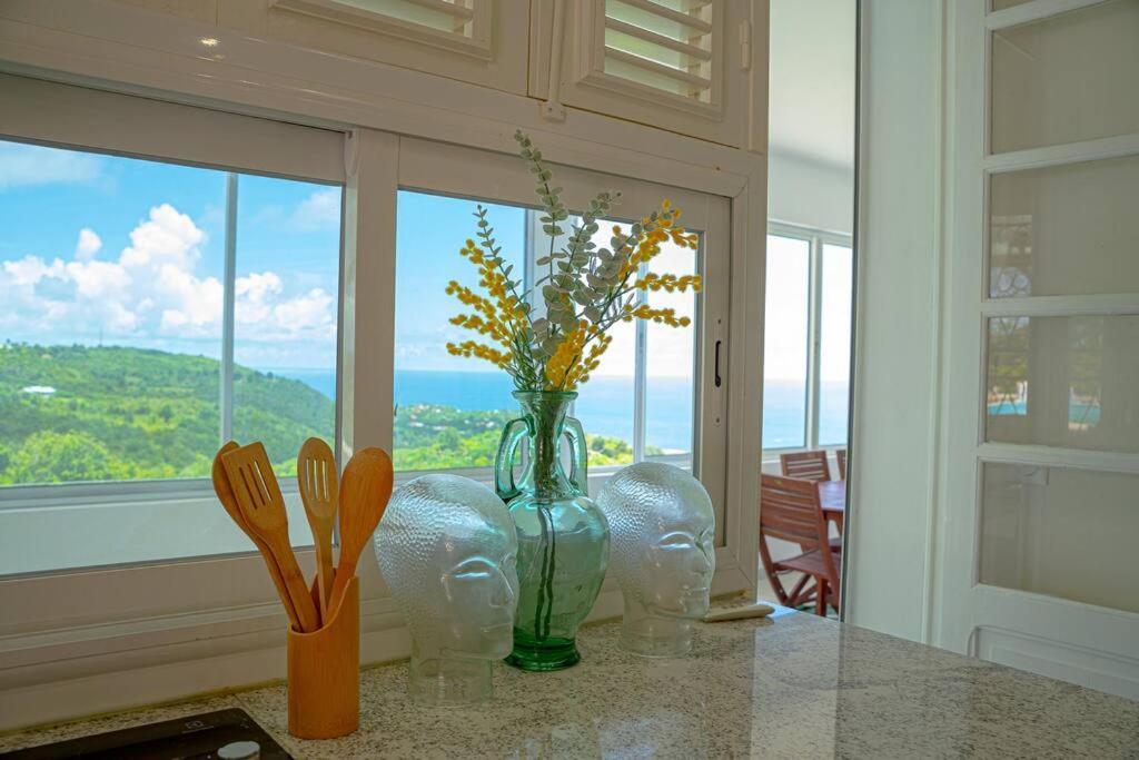 Domaine Des Tourterelles Villa Capesterre Екстериор снимка