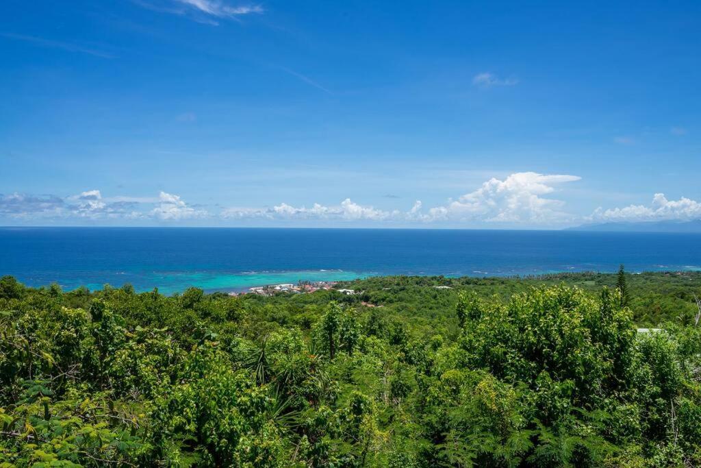 Domaine Des Tourterelles Villa Capesterre Екстериор снимка