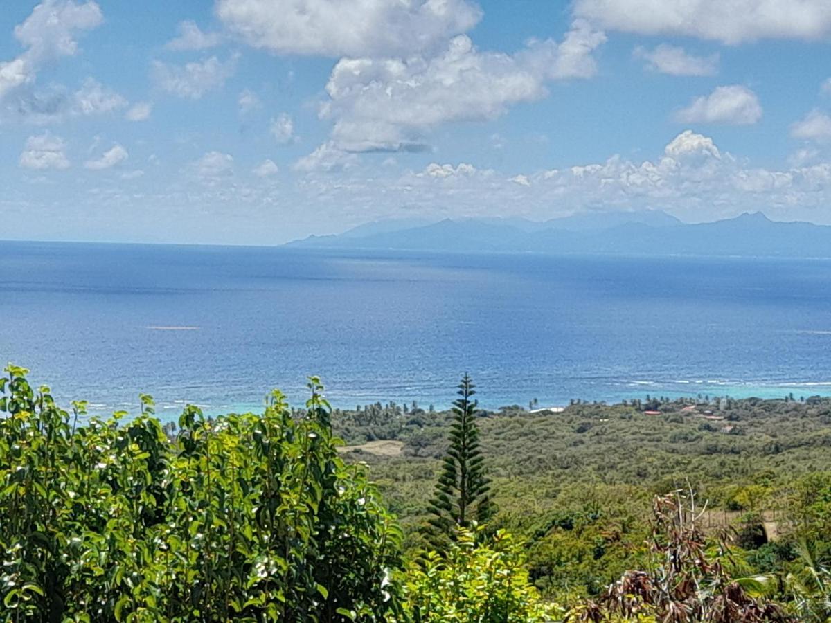 Domaine Des Tourterelles Villa Capesterre Екстериор снимка